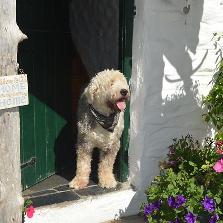 Lissyclearig Thatched Cottage Kenmare Exterior photo