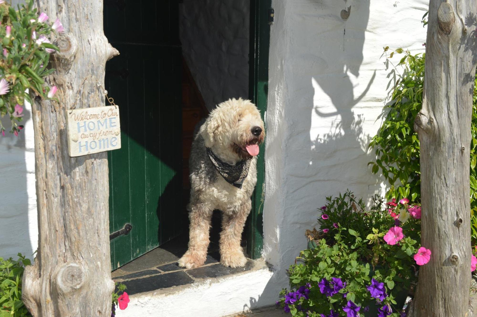 Lissyclearig Thatched Cottage Kenmare Exterior photo